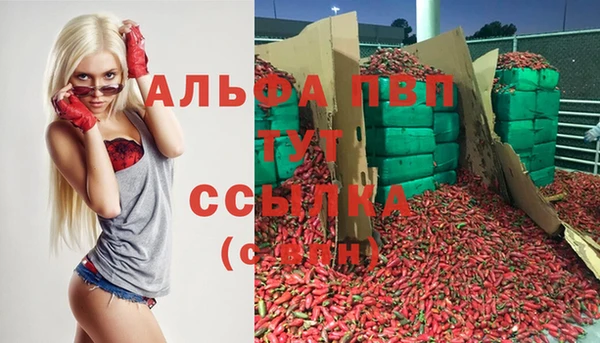 эйфоретик Богданович