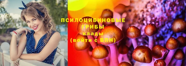 mix Белокуриха