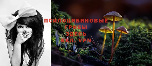 гашик Белоозёрский