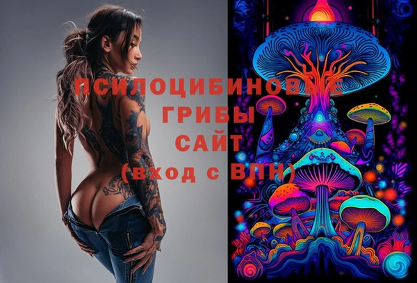 гашик Белоозёрский