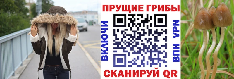 Псилоцибиновые грибы ЛСД закладка Неман